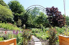 Wharton Park allotment