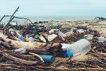 Plastic bottles on the beach Plastic pollution
