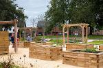 Horden Masterplan Example of community gardens