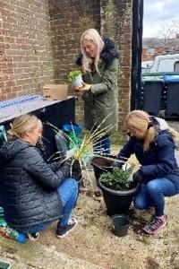 Volunteer coordinator tidying plants