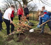 Children from Woodland Primary School planting a tree