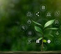 ESG icon concept with small tree for environmental, social, and governance in sustainable business