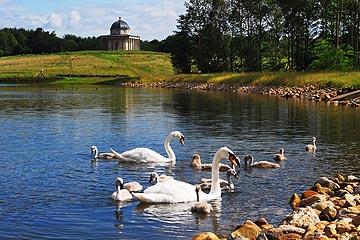 Hardwick Park - volunteering